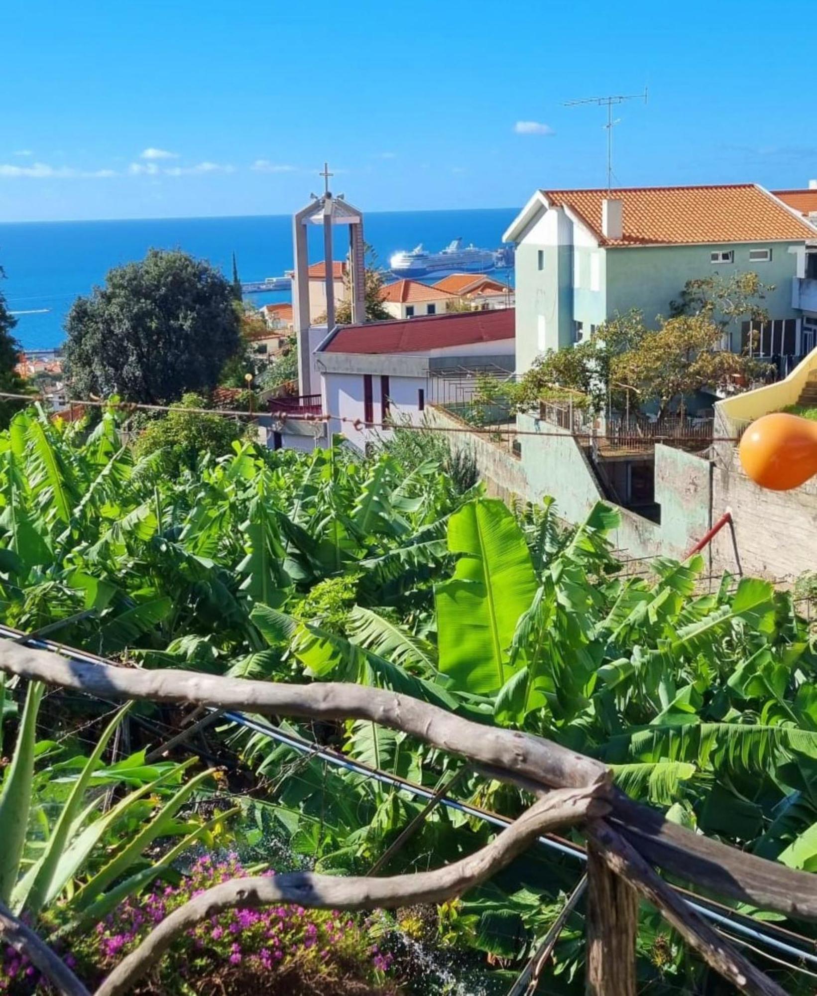 Villa Catanho Фуншал Екстер'єр фото